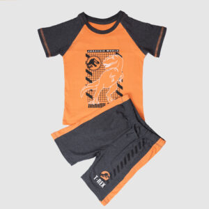 Boys' Jurassic World T-Rex Graphic T-Shirt – Orange & Charcoal Dinosaur Tee